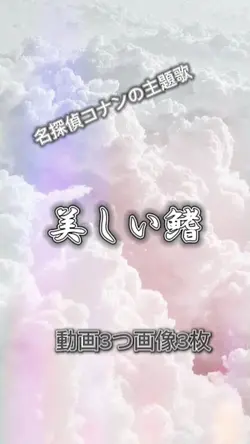 美しい鰭
