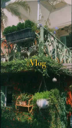 Vlog vintage