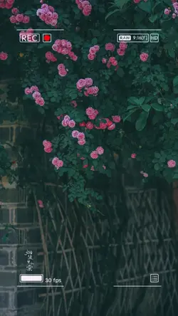 1ẢNH/VID🍂