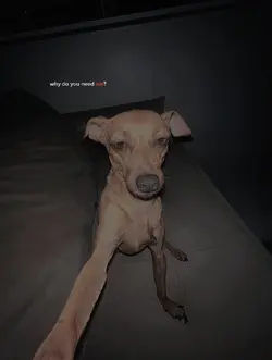 WHY