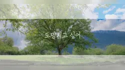 우산