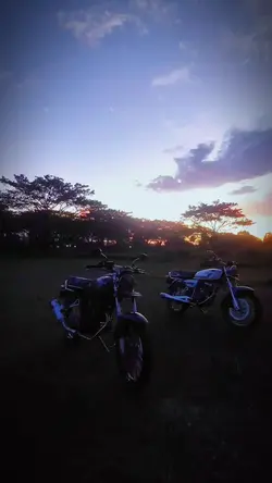 Cinematic