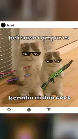 duo kece