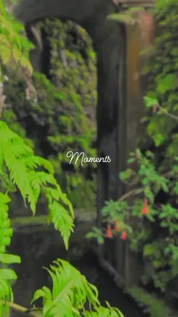 aesthetic video