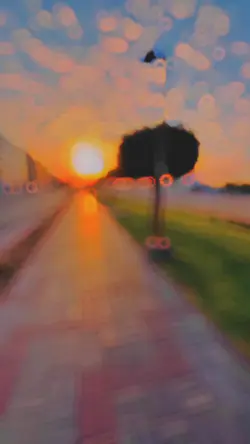 spil senja