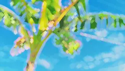 CINEMATIC HD X JJ
