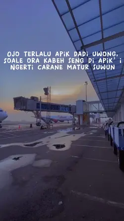 Ojo terlalu apik
