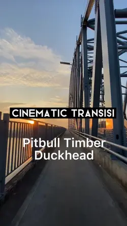 Cinematic transisi