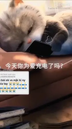 ຂໍເປັນແຟນເດ່
