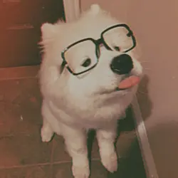 ~