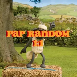 PAP RANDOM 1:1