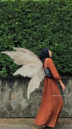 Transisi fairy wings