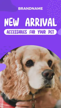 Purple Pet Accessories With Bright Style Template