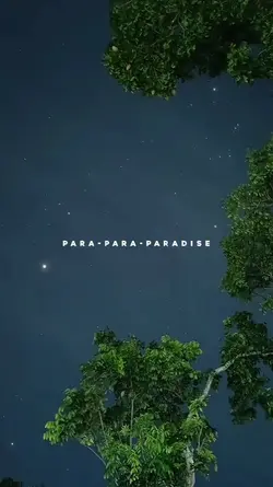 paradise