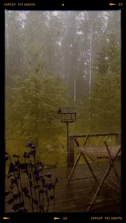 Something inthe rain