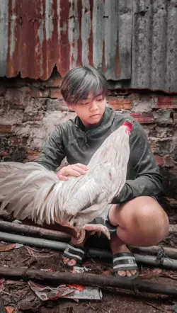 FB{ kiệt Tiger}