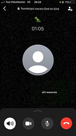 ss call with crush