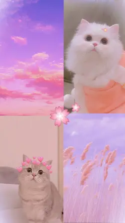 Cupid~