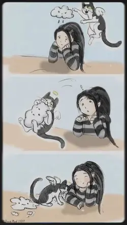 ditinggal kucing
