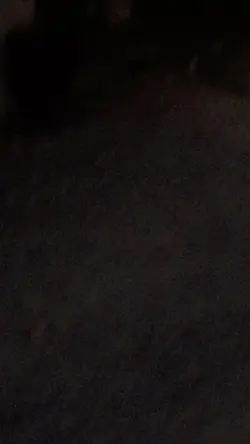 Thêm 1 video