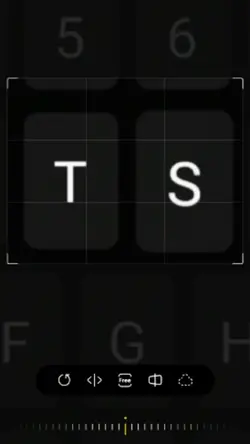 inisial T-S