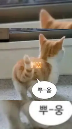 외국물먹기4트