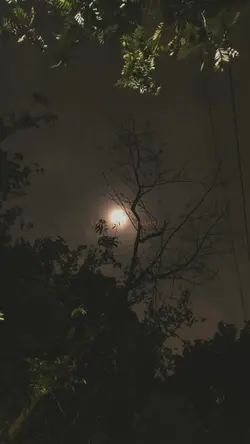 i watch the moon