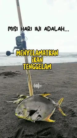 misi hari ini