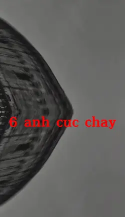 6pic cuc chay
