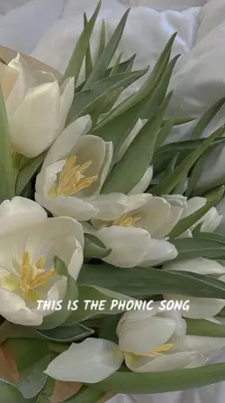 Phonic song