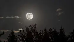 Luna.