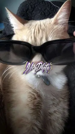 Dum de dum jj
