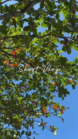 Short Vlog 16:9