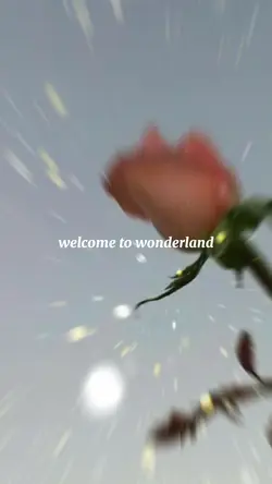 wonderland 