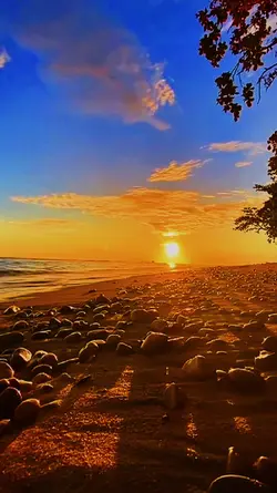 SUNSET Slomotion