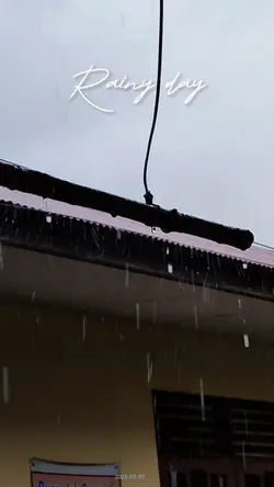 vlog rainy day