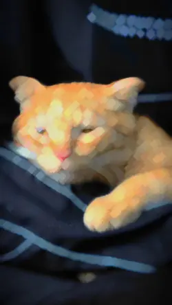 lofi cutiii