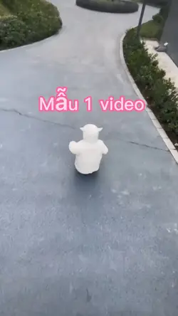 Mẫu 1 video