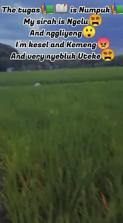 silahkan di export