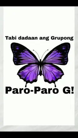 paro paro g! 