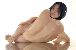 ayam 
