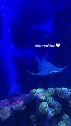 ૮₍ ˃̵͈᷄ . ˂̵͈᷅ ₎ა