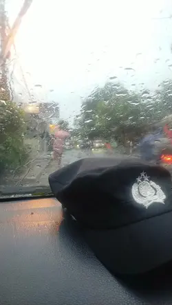 kasih