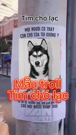 Mẫu troll