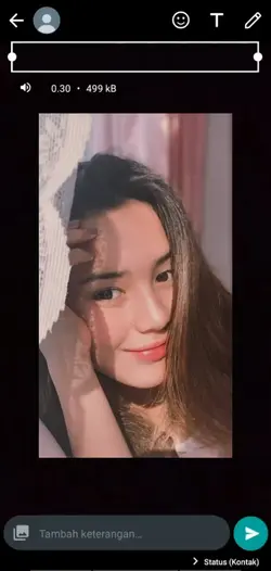 tampilan story wa 