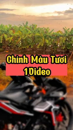 Chỉnh Màu Tươi