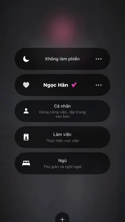 mẫu ip