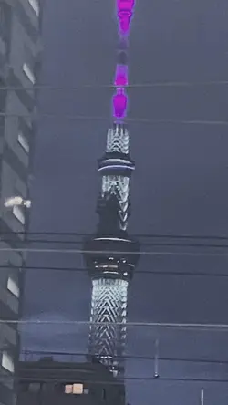 ハナタバ💗