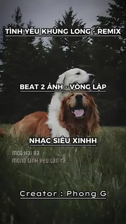 TÌNH YÊU KHỦNG LONG