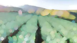 Cinematic Slow